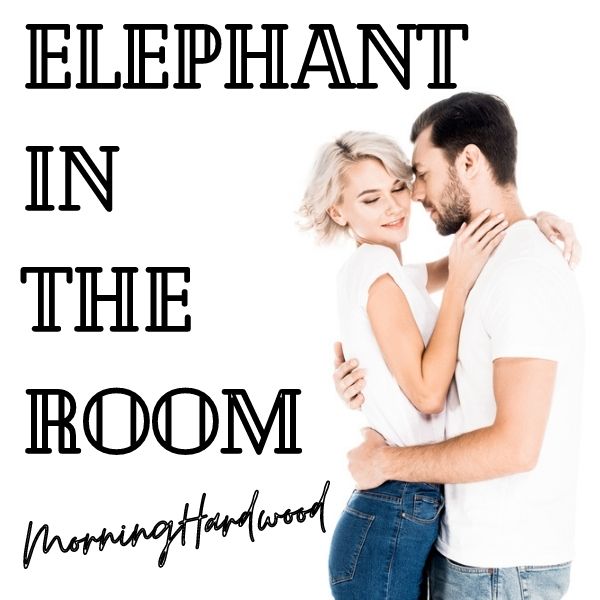 Elephant In The Room 