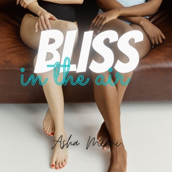 Bliss in the Air cover image