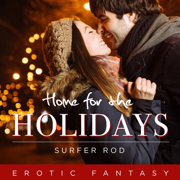 Home for the Holidays cover image