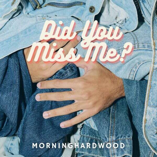 Did You Miss Me? cover image