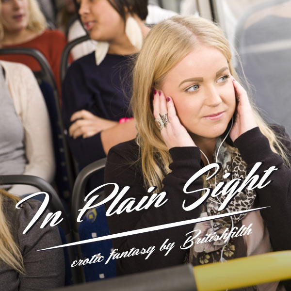 In Plain Sight's cover image