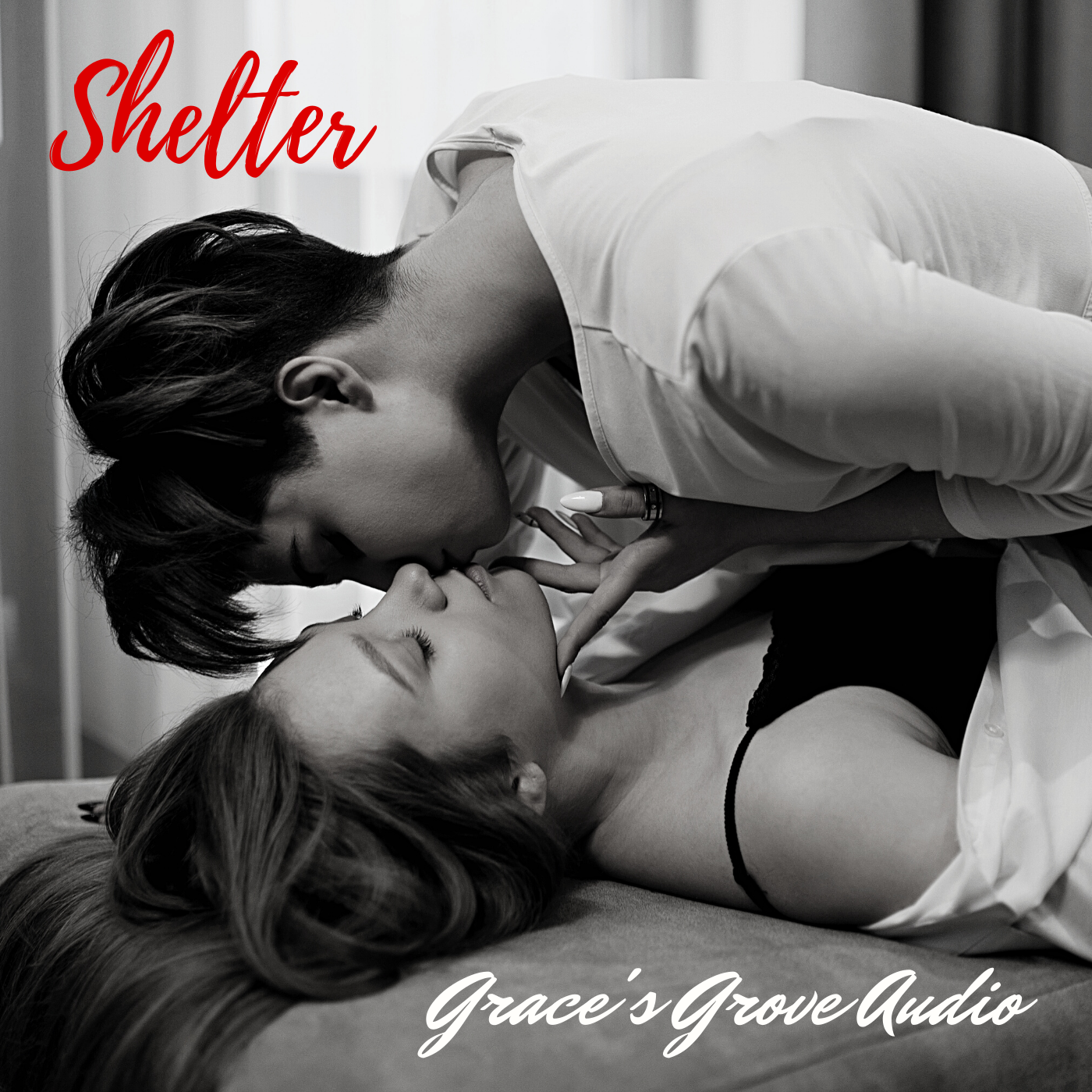 Shelter's cover image